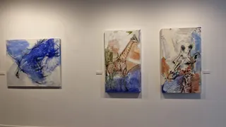 Animalario, exposición Diputación Salamanca