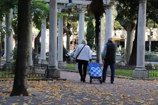 Ciudadanos en el Paseo de las Carmelitas en otoño