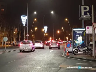 Avenida cipreses