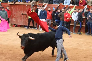 Mañana de capea de lunes en el Carnaval del Toro 2026 | Mateo G.J.