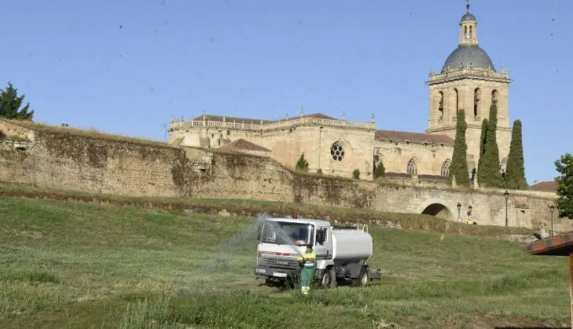 Ciudad Rodrigo Zonas Verdes (2)