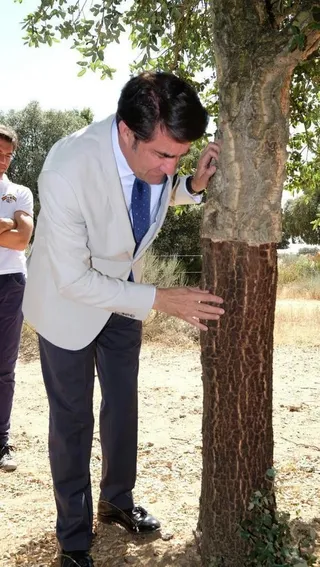 Visita consejero Valdelosa