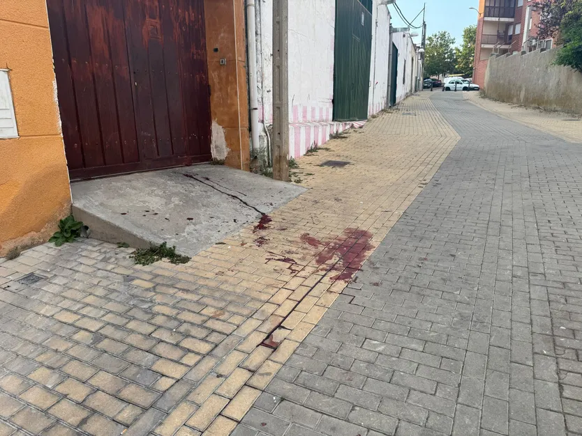 Un varón de 70 años herido tras una agresión en Pizarrales