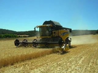 La Junta finaliza el pago de un millón de euros en ayudas para suscribir pólizas de seguro en explotaciones agrícolas