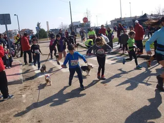 Canicross Nuevo Naharros 2017